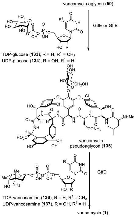 Scheme 14