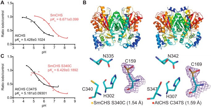 Figure 3.