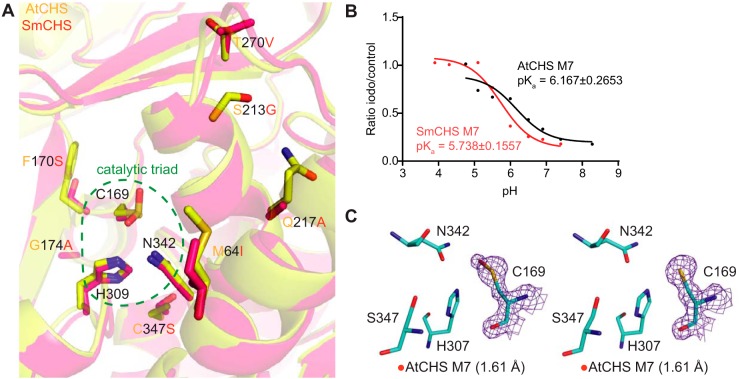 Figure 4.