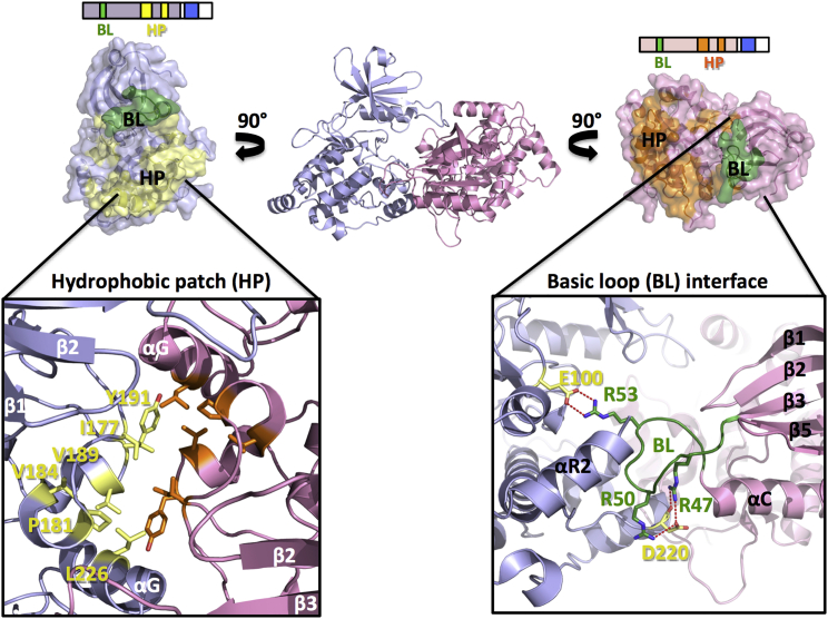 Figure 2