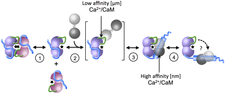 Figure 7