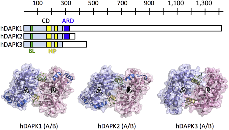 Figure 1