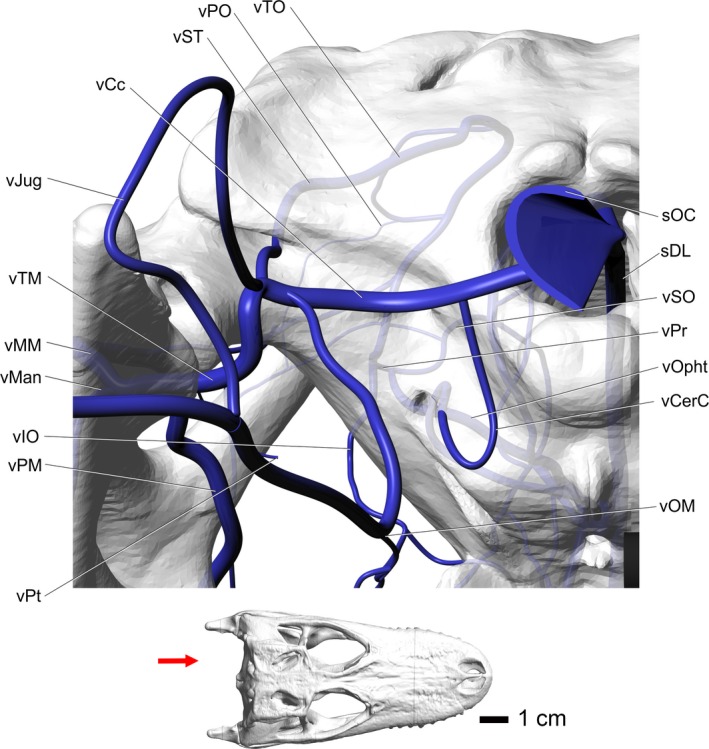 Figure 10