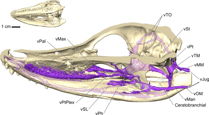 Figure 13