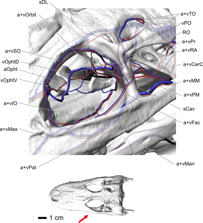 Figure 9