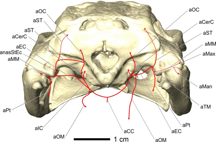 Figure 8