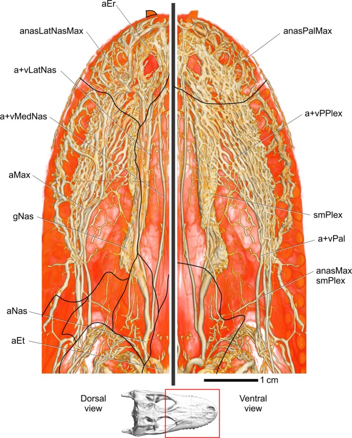 Figure 11