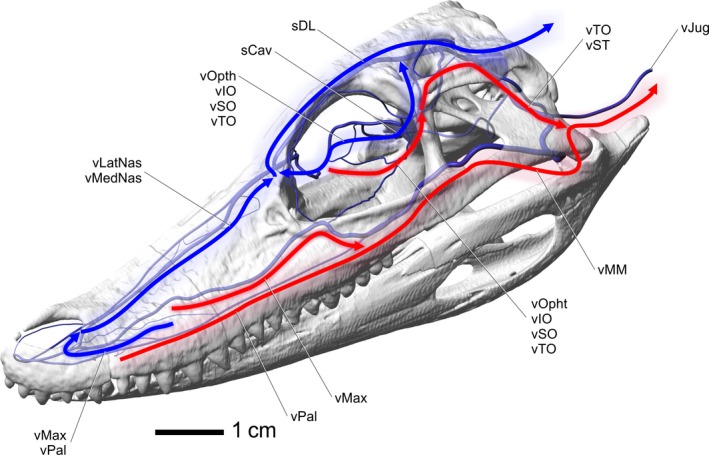 Figure 14