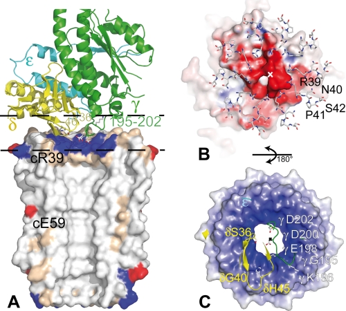 FIGURE 6.