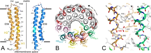 FIGURE 3.