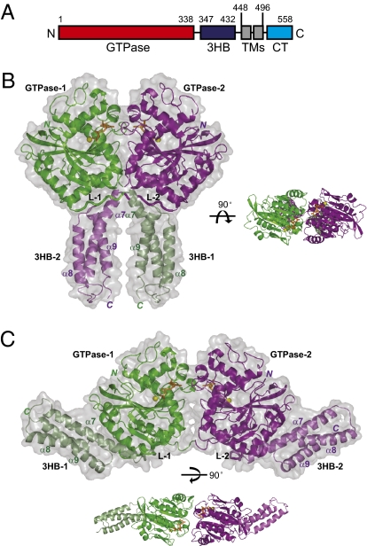 Fig. 1.