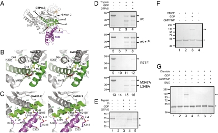 Fig. 3.