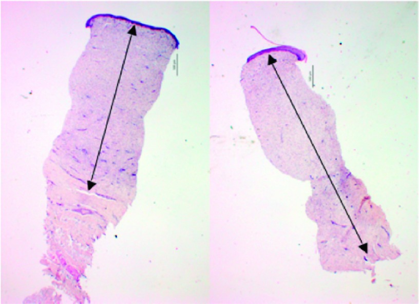 FIG. 15.