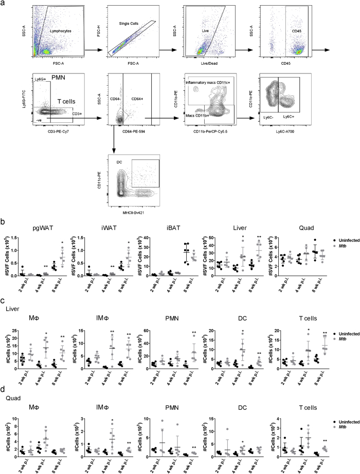 Supplementary Fig. S1