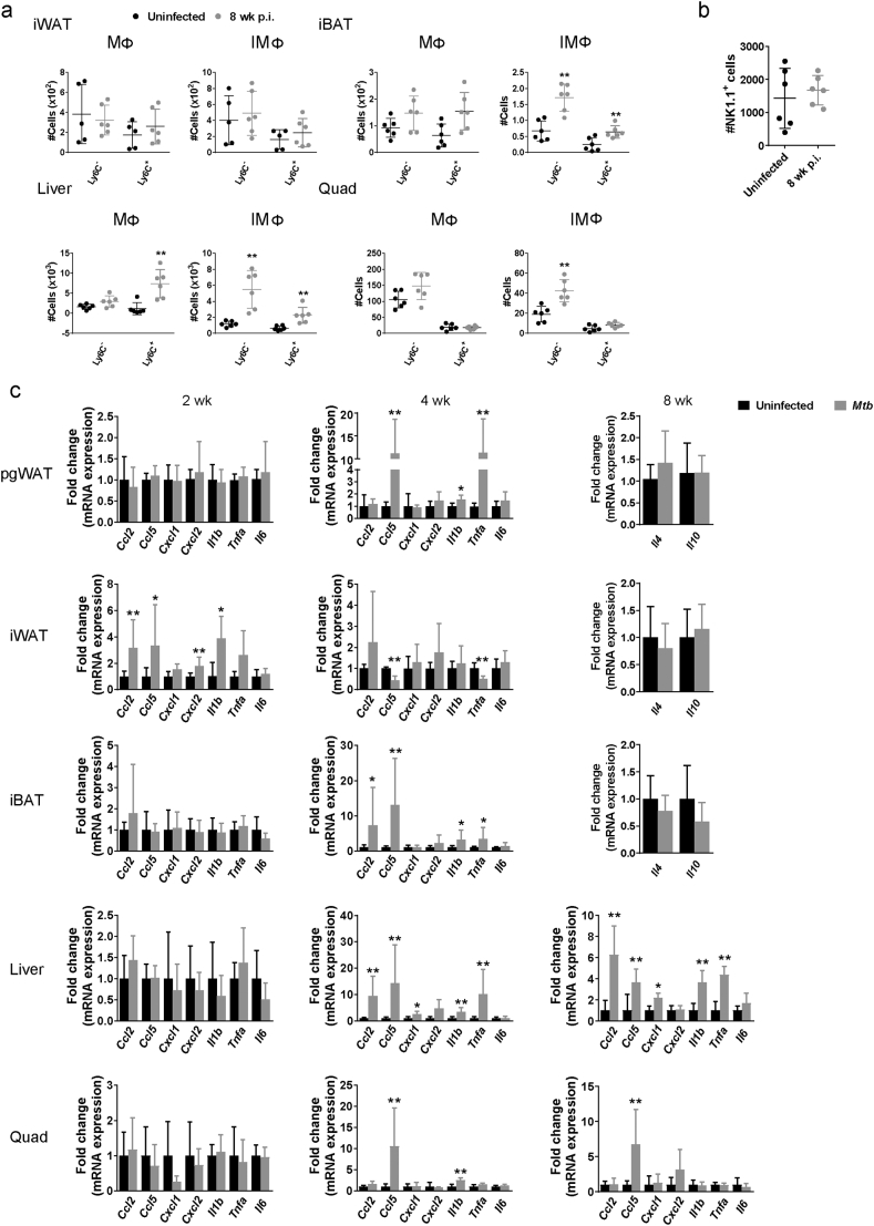 Supplementary Fig. S2