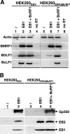 Fig 5