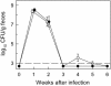 FIG. 6.