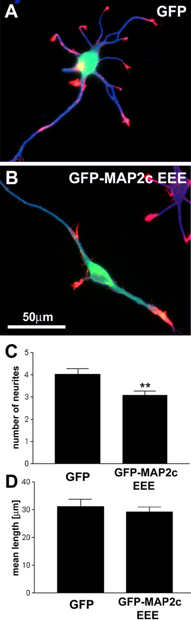 Figure 9.