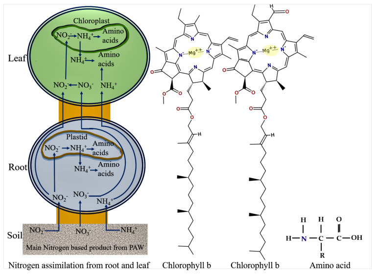 Figure 11