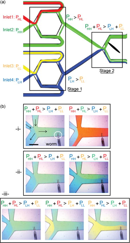 Fig. 3