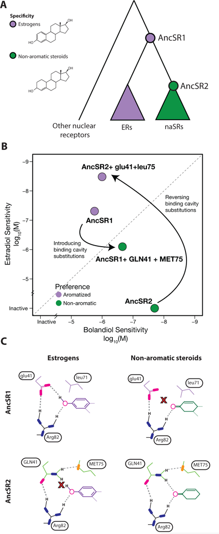 Figure 2: