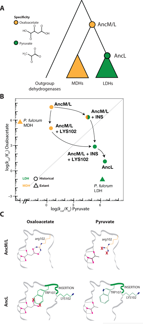 Figure 1: