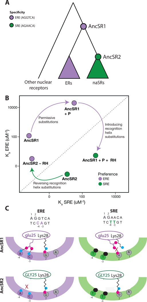 Figure 3: