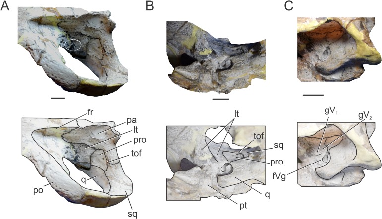 Figure 6