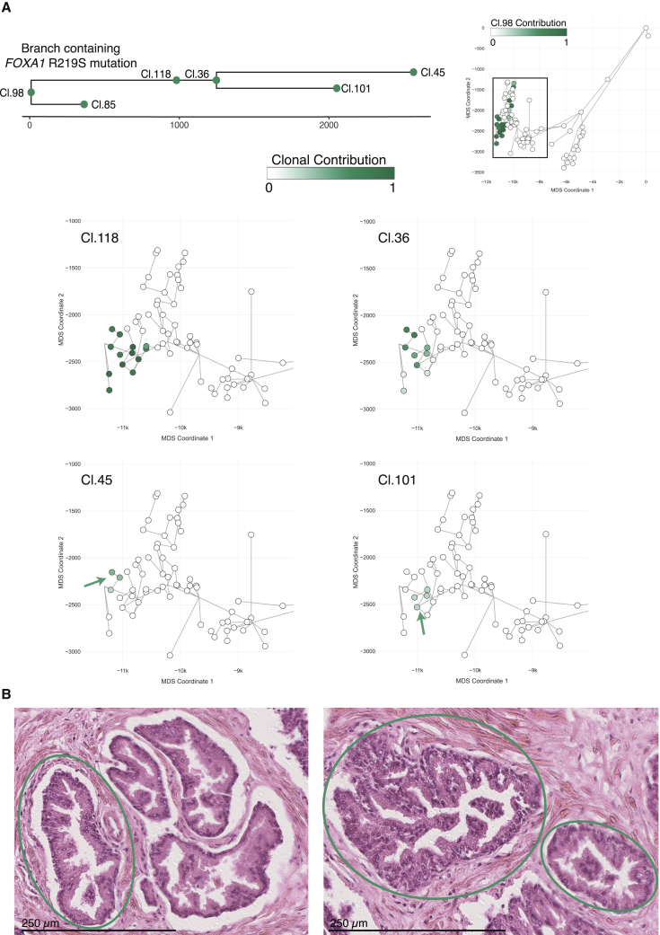 Figure 6