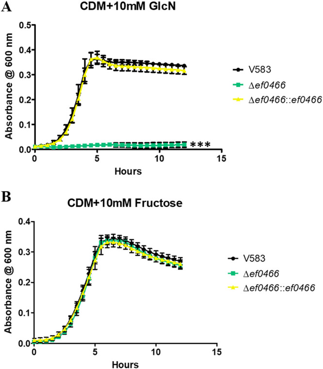 FIG 6