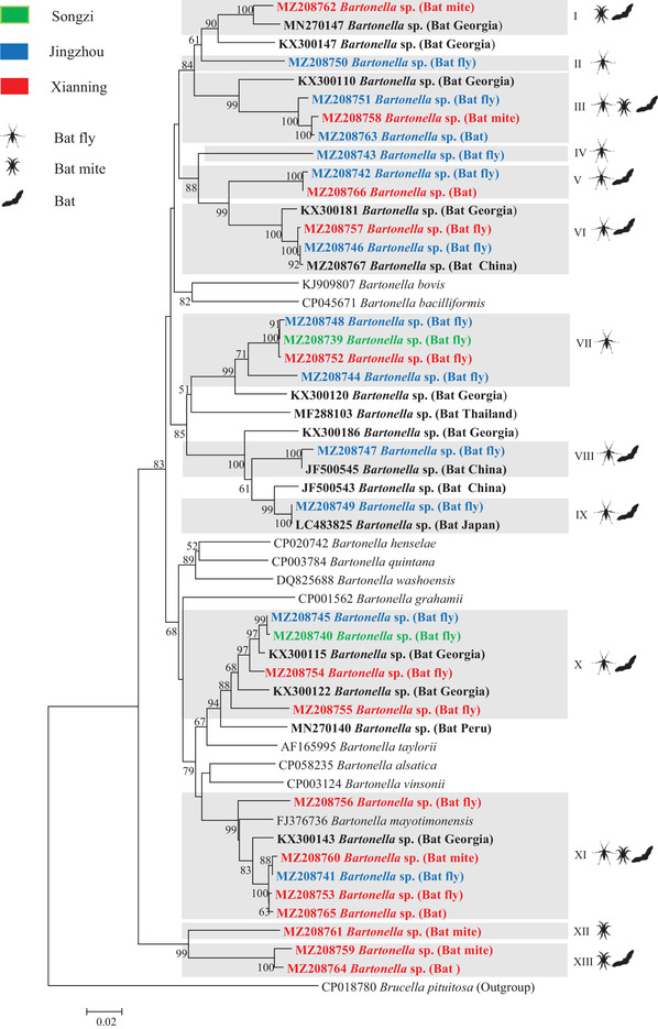 FIGURE 6