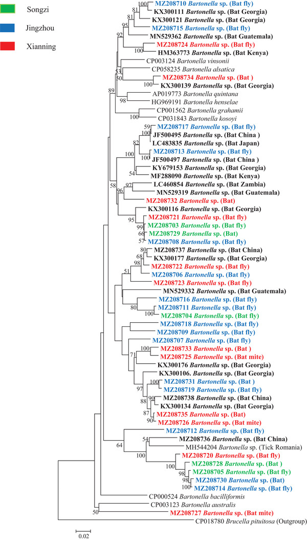 FIGURE 7