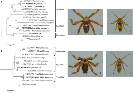 FIGURE 3