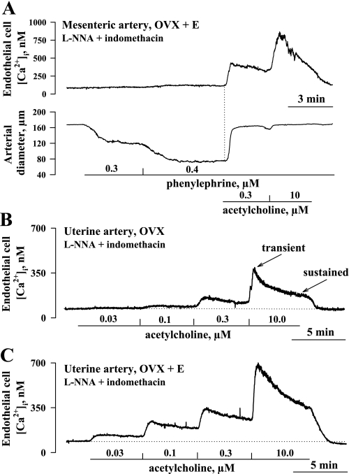 Fig. 7.