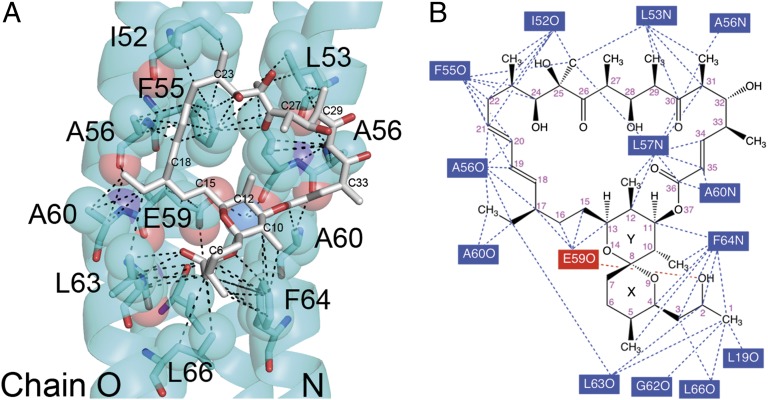 Fig. 2.