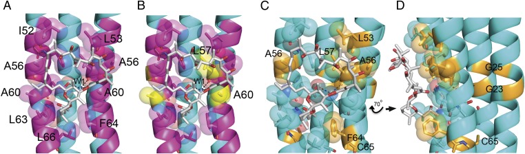 Fig. 3.