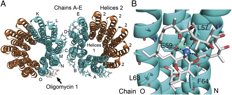 Fig. 1.