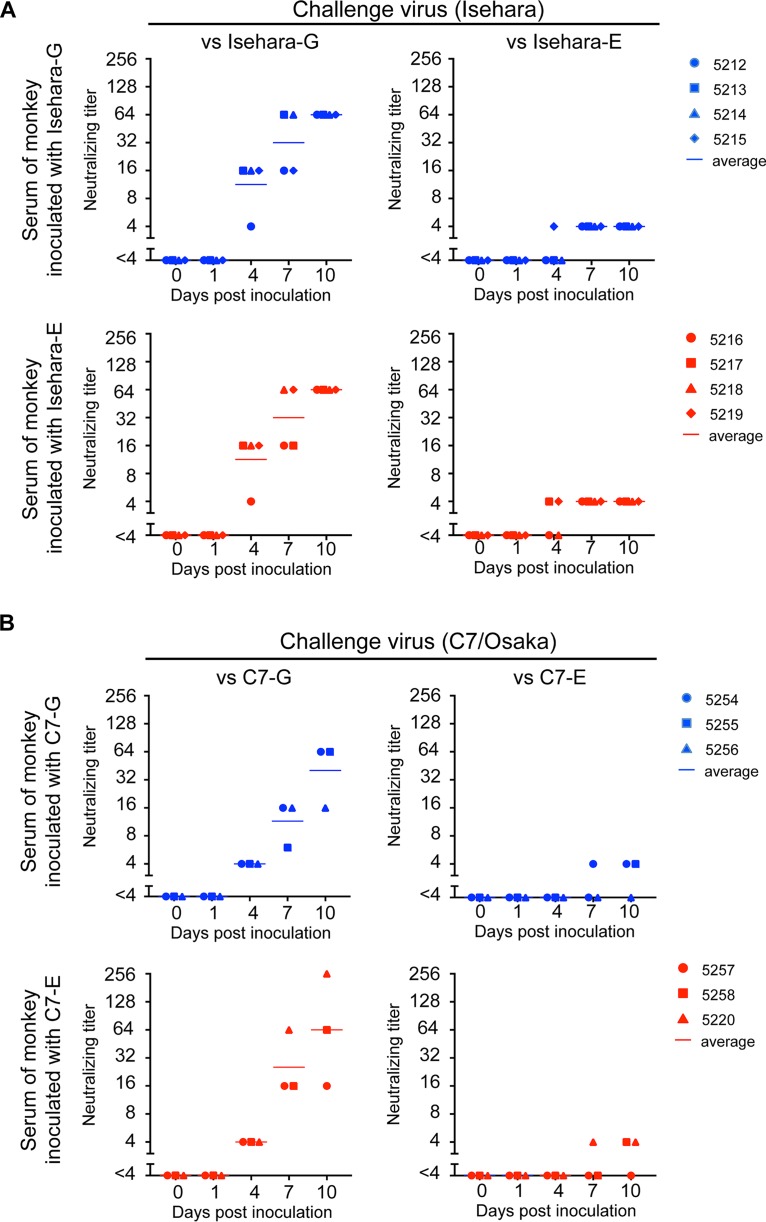 FIG 6