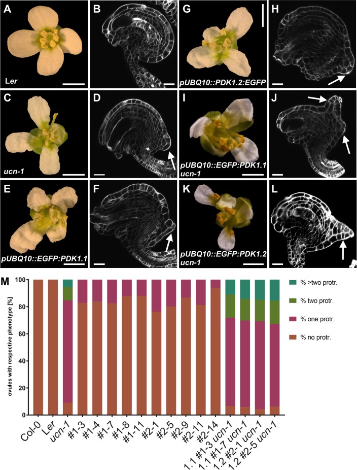 Fig 9