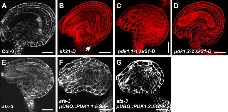 Fig 11