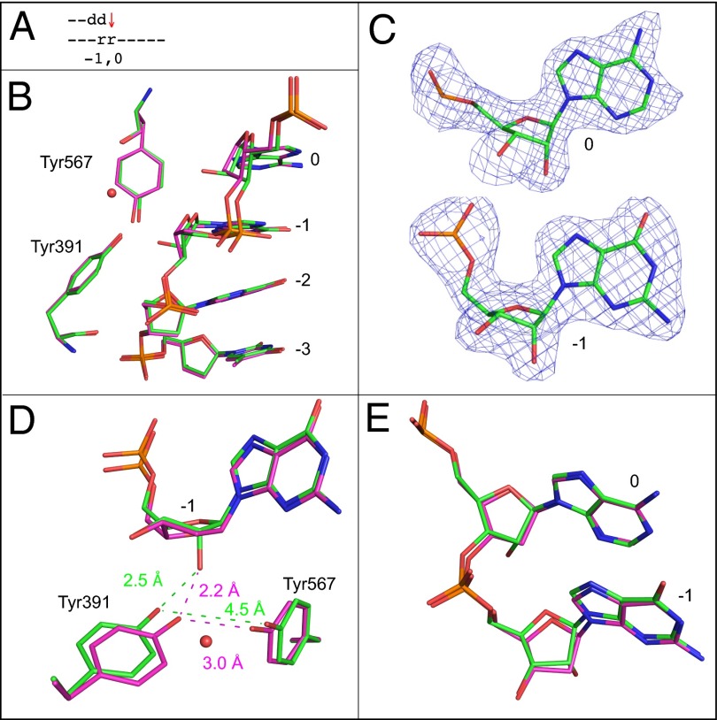 Fig. 3.