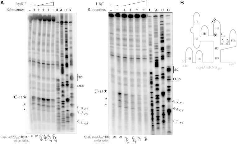 Figure 5.