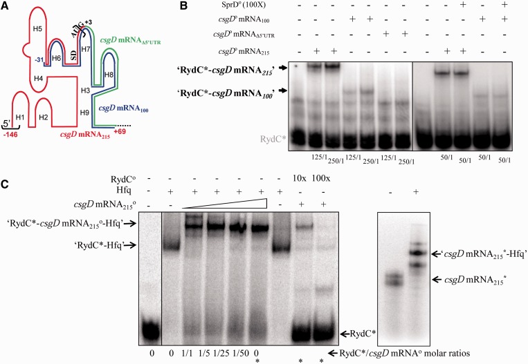 Figure 4.