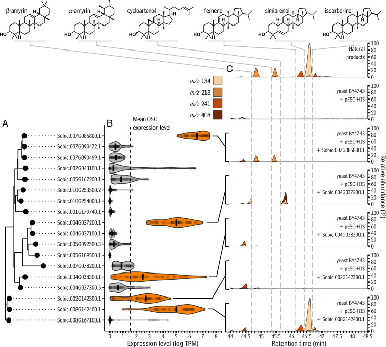 Fig. 4.