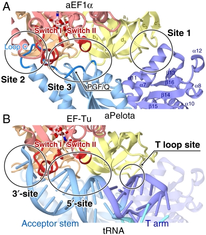 Fig. 2.