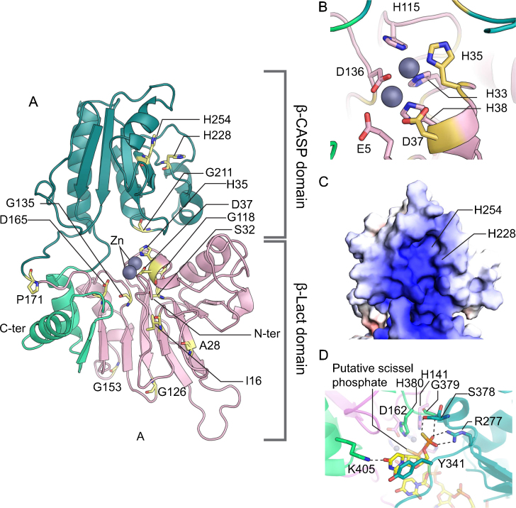 Fig. 4