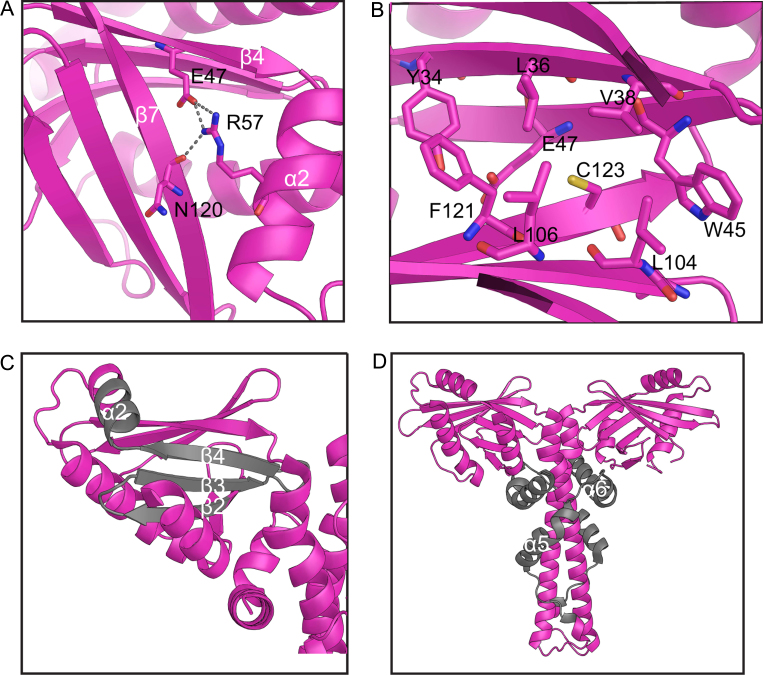 Fig. 8