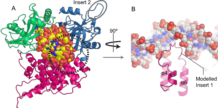 Fig. 6