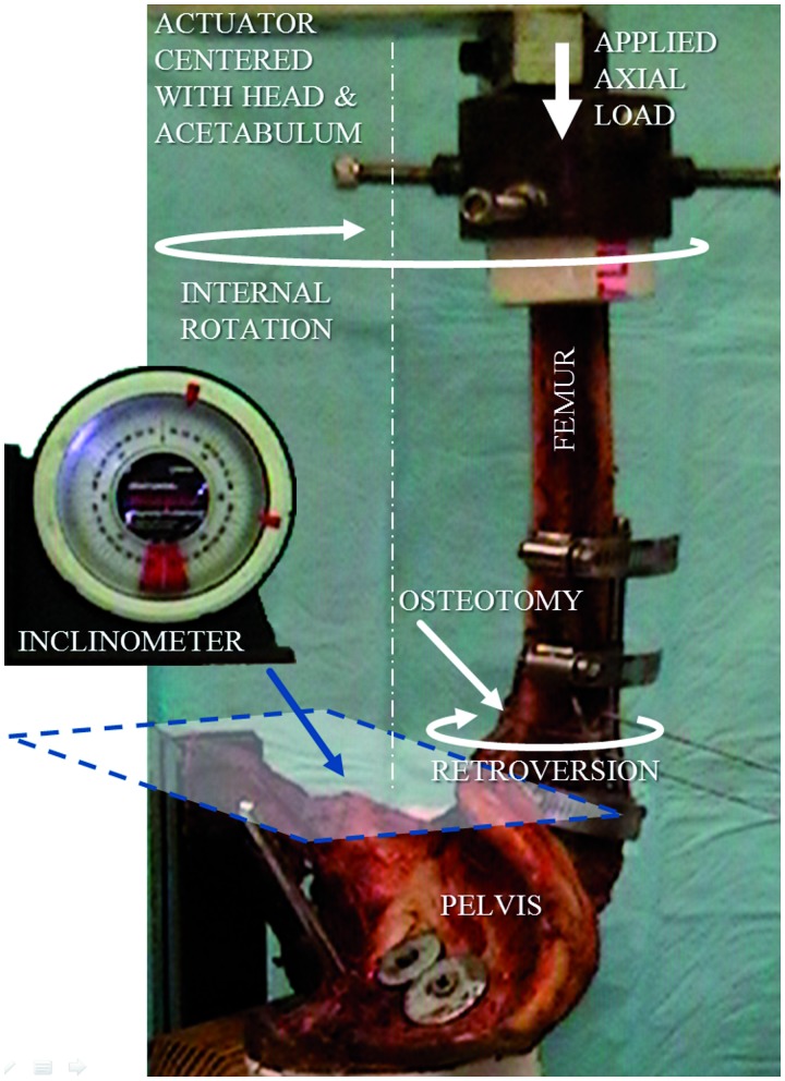 Fig. 3.