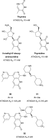 Fig. 14